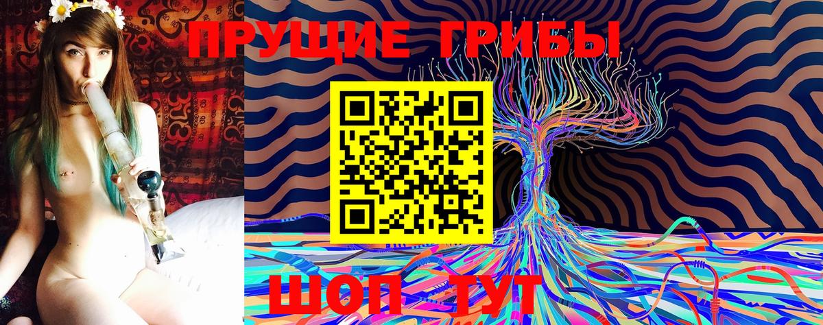 Галлюциногенные грибы Psilocybine cubensis Железногорск