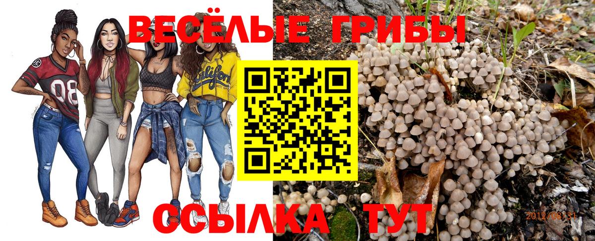 Галлюциногенные грибы MAGIC MUSHROOMS  Вход с VPN  Железногорск 
